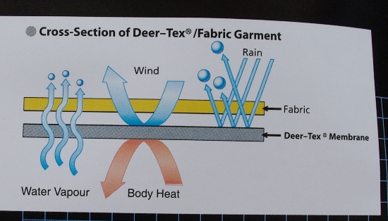 Schema deer tex